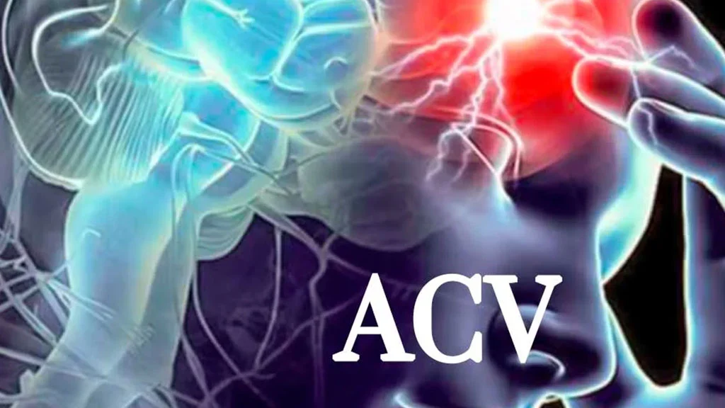 29 de octubre – Se celebra el día mundial contra el Ataque cerebrovascular (ACV)